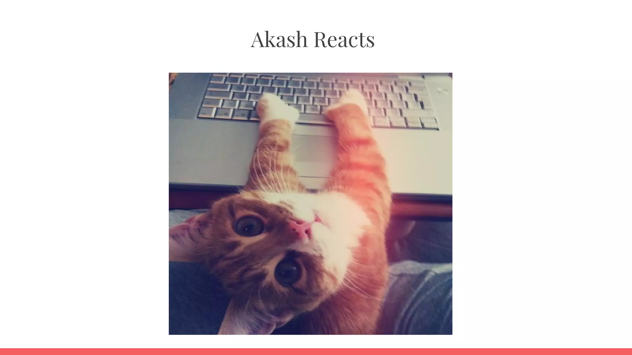 Akash Reacts
 