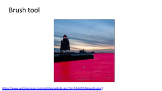 Brush tool
https://www.adobepress.com/articles/article.asp?p=1844834&seqNum=2
 