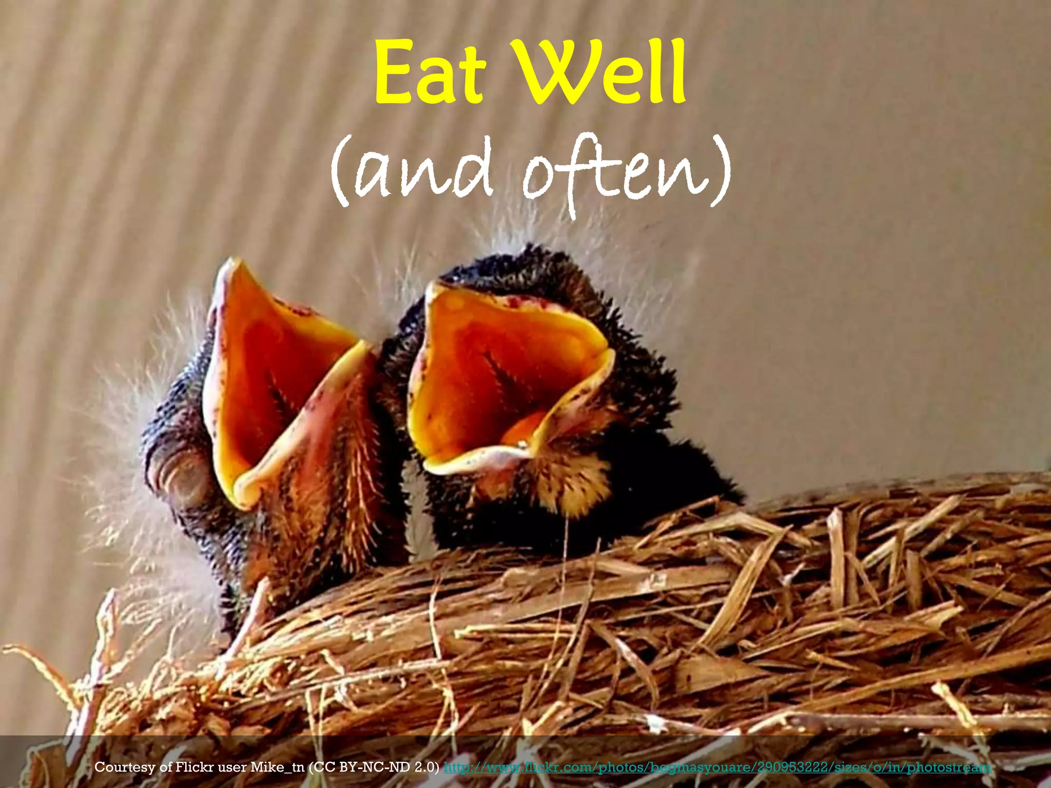 Eat Well
(and often)
Courtesy of Flickr user Mike_tn (CC BY-NC-ND 2.0) http://www.flickr.com/photos/beginasyouare/290953222/sizes/o/in/photostream
 