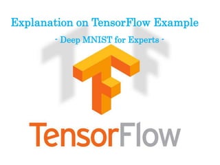 Explanation on TensorFlow Example
- Deep MNIST for Experts -
 