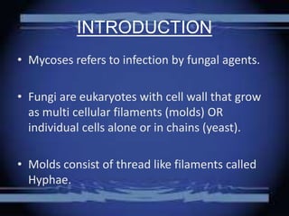 INTRODUCTION
• Mycoses refers to infection by fungal agents.
• Fungi are eukaryotes with cell wall that grow
as multi cellular filaments (molds) OR
individual cells alone or in chains (yeast).
• Molds consist of thread like filaments called
Hyphae.
 