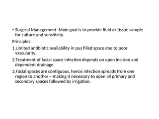 • Surgical Management- Main goal is to provide fluid or tissue sample
for culture and sensitivity.
Principles :
1.Limited antibiotic availability in pus filled space doe to poor
vascularity.
2.Treatment of facial space infection depends on open incision and
dependent drainage
3.Facial spaces are contiguous, hence infection spreads from one
region to another – making it necessary to open all primary and
secondary spaces followed by irrigation.
 