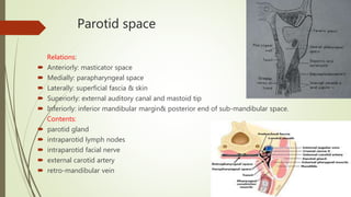 Parotid space
Relations:
 Anteriorly: masticator space
 Medially: parapharyngeal space
 Laterally: superficial fascia & skin
 Superiorly: external auditory canal and mastoid tip
 Inferiorly: inferior mandibular margin& posterior end of sub-mandibular space.
Contents:
 parotid gland
 intraparotid lymph nodes
 intraparotid facial nerve
 external carotid artery
 retro-mandibular vein
 