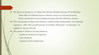  The signs and symptoms of a deep neck abscess develop because of the following:
-Mass effect of inflamed tissue or abscess cavity on surround structures
-Direct involvement of surrounding structures with the infectious process
 The microbiology of deep neck infections usually reveals mixed aerobic and anaerobic
organisms, often with a predominance of oral flora. Both gram +ve and gram -ve
organisms may be cultured.
 The spread of infection can vary based on:
- number & virulence of organisms
- host resistence
- anatomy of the involved area
 