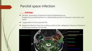 Parotid space infection
Aetiology:
 Parotitis ,Ascending of bacterial infection(Staphylococcus,
Streptococcus,Haemophilus) to a dehydrated parotid via Stenson’s duct from oral
cavity.
 Suppuration of intra-parotid LNs.
 Spread of infection from the auditory canal via the cartlaginous fissures of Santorini
or the bony foramen of Huschke.
 