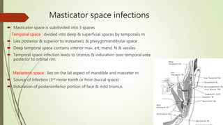 Masticator space infections
 Masticator space is subdivided into 3 spaces
Temporal space : divided into deep & superficial spaces by temporalis m
 Lies posterior & superior to masseteric & pterygomandibular space
 Deep temporal space contains interior max. art, mand. N & vessles
 Temporal space infection leads to trismus & induration over temporal area
posterior to orbital rim.
Masseteric space : lies on the lat aspect of mandible and masseter m
 Source of infection (3rd molar tooth or from buccal space)
 Induration of posteroinferior portion of face & mild trismus
 