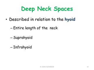 Deep Neck Spaces
• Described in relation to the hyoid
– Entire length of the neck
– Suprahyoid
– Infrahyoid
14
Dr. ASHLY ALEXANDER
 
