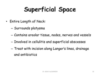 Superficial Space
• Entire Length of Neck:
– Surrounds platysma
– Contains areolar tissue, nodes, nerves and vessels
– Involved in cellulitis and superficial abscesses
– Treat with incision along Langer’s lines, drainage
and antibiotics
16
Dr. ASHLY ALEXANDER
 