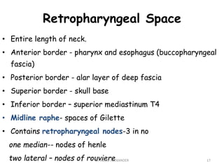 Retropharyngeal Space
• Entire length of neck.
• Anterior border - pharynx and esophagus (buccopharyngeal
fascia)
• Posterior border - alar layer of deep fascia
• Superior border - skull base
• Inferior border – superior mediastinum T4
• Midline raphe- spaces of Gilette
• Contains retropharyngeal nodes-3 in no
one median-- nodes of henle
two lateral – nodes of rouviere 17
Dr. ASHLY ALEXANDER
 