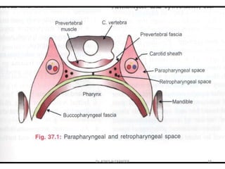 18
Dr. ASHLY ALEXANDER
 