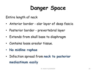 Danger Space
Entire length of neck
• Anterior border - alar layer of deep fascia
• Posterior border - prevertebral layer
• Extends from skull base to diaphragm
• Contains loose areolar tissue.
• No midline raphae
• Infection spread from neck to posterior
mediastinum easily
20
Dr. ASHLY ALEXANDER
 