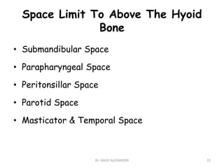 Space Limit To Above The Hyoid
Bone
• Submandibular Space
• Parapharyngeal Space
• Peritonsillar Space
• Parotid Space
• Masticator & Temporal Space
23
Dr. ASHLY ALEXANDER
 