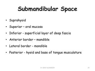Submandibular Space
• Suprahyoid
• Superior – oral mucosa
• Inferior - superficial layer of deep fascia
• Anterior border – mandible
• Lateral border - mandible
• Posterior - hyoid and base of tongue musculature
24
Dr. ASHLY ALEXANDER
 