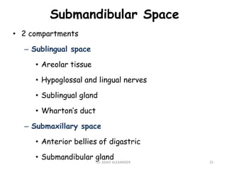 Submandibular Space
• 2 compartments
– Sublingual space
• Areolar tissue
• Hypoglossal and lingual nerves
• Sublingual gland
• Wharton’s duct
– Submaxillary space
• Anterior bellies of digastric
• Submandibular gland
25
Dr. ASHLY ALEXANDER
 