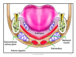 26
Dr. ASHLY ALEXANDER
 