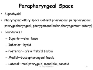 Parapharyngeal Space
• Suprahyoid
• Pharyngomaxillary space (lateral pharyngeal, peripharyngeal,
pterygopharyngeal, pterygomandibular,pharyngomasticatory)
• Boundaries :
– Superior—skull base
– Inferior—hyoid
– Posterior—prevertebral fascia
– Medial—buccopharyngeal fascia
– Lateral—med pterygoid, mandible, parotid
27
Dr. ASHLY ALEXANDER
 