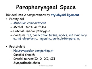 Parapharyngeal Space
Divided into 2 compartmens by stylohyoid ligament
• Prestyloid
– Muscular compartment
– Medial—tonsillar fossa
– Lateral—medial pterygoid
– Contains fat, connective tissue, nodes, int maxillary
a., inf alveolar n., lingual n., auriculotemporal n.
• Poststyloid
– Neurovascular compartment
– Carotid sheath
– Cranial nerves IX, X, XI, XII
– Sympathetic chain
30
Dr. ASHLY ALEXANDER
 