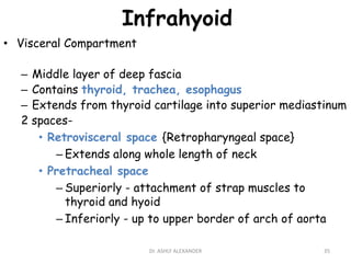 Infrahyoid
• Visceral Compartment
– Middle layer of deep fascia
– Contains thyroid, trachea, esophagus
– Extends from thyroid cartilage into superior mediastinum
2 spaces-
• Retrovisceral space {Retropharyngeal space}
– Extends along whole length of neck
• Pretracheal space
– Superiorly - attachment of strap muscles to
thyroid and hyoid
– Inferiorly - up to upper border of arch of aorta
35
Dr. ASHLY ALEXANDER
 