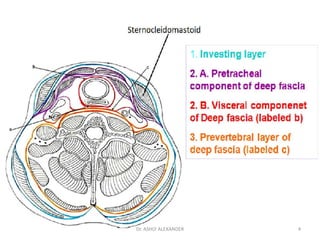 4
Dr. ASHLY ALEXANDER
 