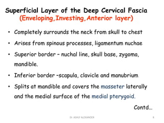 Superficial Layer of the Deep Cervical Fascia
(Enveloping,Investing,Anterior layer)
• Completely surrounds the neck from skull to chest
• Arises from spinous processes, ligamentum nuchae
• Superior border – nuchal line, skull base, zygoma,
mandible.
• Inferior border –scapula, clavicle and manubrium
• Splits at mandible and covers the masseter laterally
and the medial surface of the medial pterygoid.
Contd…
8
Dr. ASHLY ALEXANDER
 