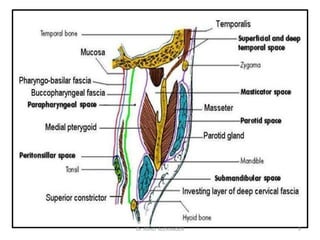 9
Dr. ASHLY ALEXANDER
 