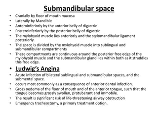 Submandibular space
• Cranially by floor of mouth mucosa
• Laterally by Mandible
• Anteroinferiorly by the anterior belly of digastric
• Posteroinferiorly by the posterior belly of digastric
• The mylohyoid muscle lies anteriorly and the stylomandibular ligament
posteriorly.
• The space is divided by the mylohyoid muscle into sublingual and
submandibular compartments
• These compartments are continuous around the posterior free edge of the
mylohyoid muscle and the submandibular gland lies within both as it straddles
this free edge.
• Ludwig’s Angina
• Acute infection of bilateral sublingual and submandibular spaces, and the
submental space.
• occurs most commonly as a consequence of anterior dental infection.
• Gross oedema of the floor of mouth and of the anterior tongue, such that the
tongue becomes grossly swollen, protuberant and immobile.
• The result is significant risk of life-threatening airway obstruction
• Emergency tracheostomy, a primary treatment option.
 