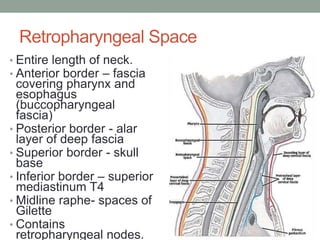 Retropharyngeal Space Boundaries