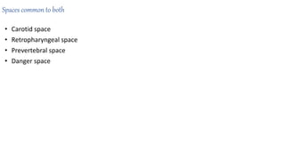 Spaces common to both
• Carotid space
• Retropharyngeal space
• Prevertebral space
• Danger space
 