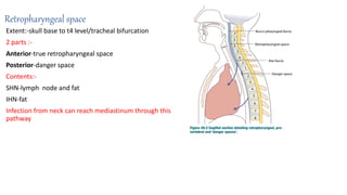 Retropharyngeal space
Extent:-skull base to t4 level/tracheal bifurcation
2 parts :-
Anterior-true retropharyngeal space
Posterior-danger space
Contents:-
SHN-lymph node and fat
IHN-fat
Infection from neck can reach mediastinum through this
pathway
 