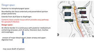 Danger space
Posterior to retropharyngeal space
Bounded by alar fascia anteriorly and prevertebral portion
proper posteriorly
Extends from skull base to diaphragm
Contents-loose areolar tissue which provides easy pathway
for spread of infection
Danger space
At inferior border it is continuous with posterior mediastinum
containing venacava ,arch of aorta, theoracic duct, trachea
and esophagus
erosion of major blood vessel ,lower airway and upper
digestive tract
may cause death of patient
 