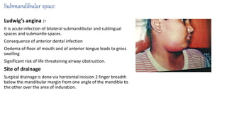 Submandibular space
Ludwig’s angina :-
It is acute infection of bilateral submandibular and sublingual
spaces and submantle spaces.
Consequence of anterior dental infection
Oedema of floor of mouth and of anterior tongue leads to gross
swelling
Significant risk of life threatening airway obstruction.
Site of drainage
Surgical drainage is done via horizontal incision 2 finger breadth
below the mandibular margin from one angle of the mandible to
the other over the area of induration.
 