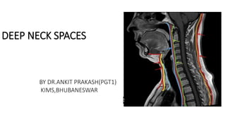 DEEP NECK SPACES
BY DR.ANKIT PRAKASH(PGT1)
KIMS,BHUBANESWAR
 