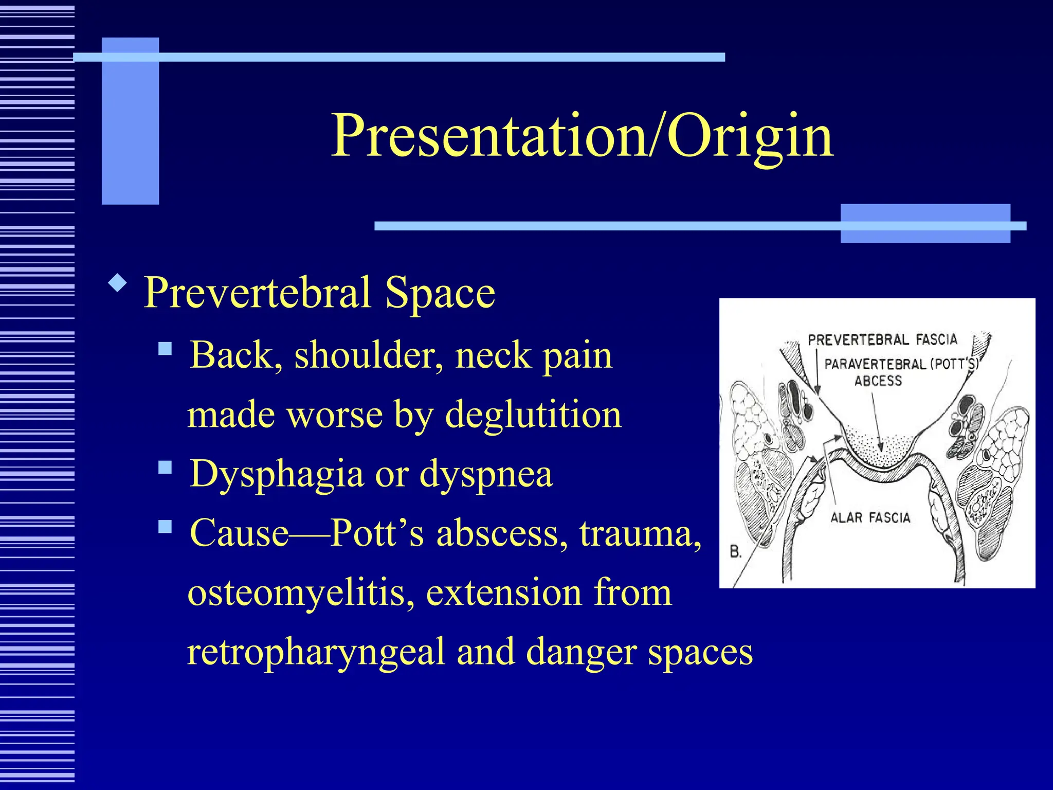 Presentation/Origin
 Prevertebral Space
 Back, shoulder, neck pain
made worse by deglutition
 Dysphagia or dyspnea
 Cause—Pott’s abscess, trauma,
osteomyelitis, extension from
retropharyngeal and danger spaces
 