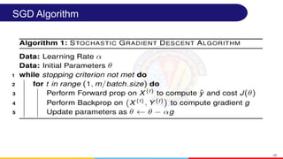SGD Algorithm
48
 