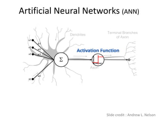 Artificial Neural Networks (ANN)

                                Terminal Branches
             Dendrites
                                     of Axon
  x1
       w1
  x2
       w2
  x3   w3




                         Axon

       wn
  xn




                                Slide credit : Andrew L. Nelson
 