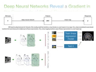 Article overview: Deep Neural Networks Reveal a Gradient in the Complexity of Neural Representations across the Ventral Stream