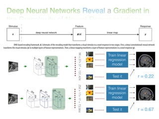 Article overview: Deep Neural Networks Reveal a Gradient in the Complexity of Neural Representations across the Ventral Stream