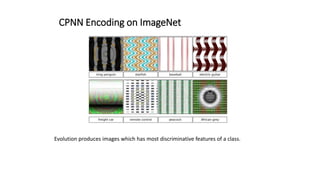 CPNN Encoding on ImageNet
Evolution produces images which has most discriminative features of a class.
 