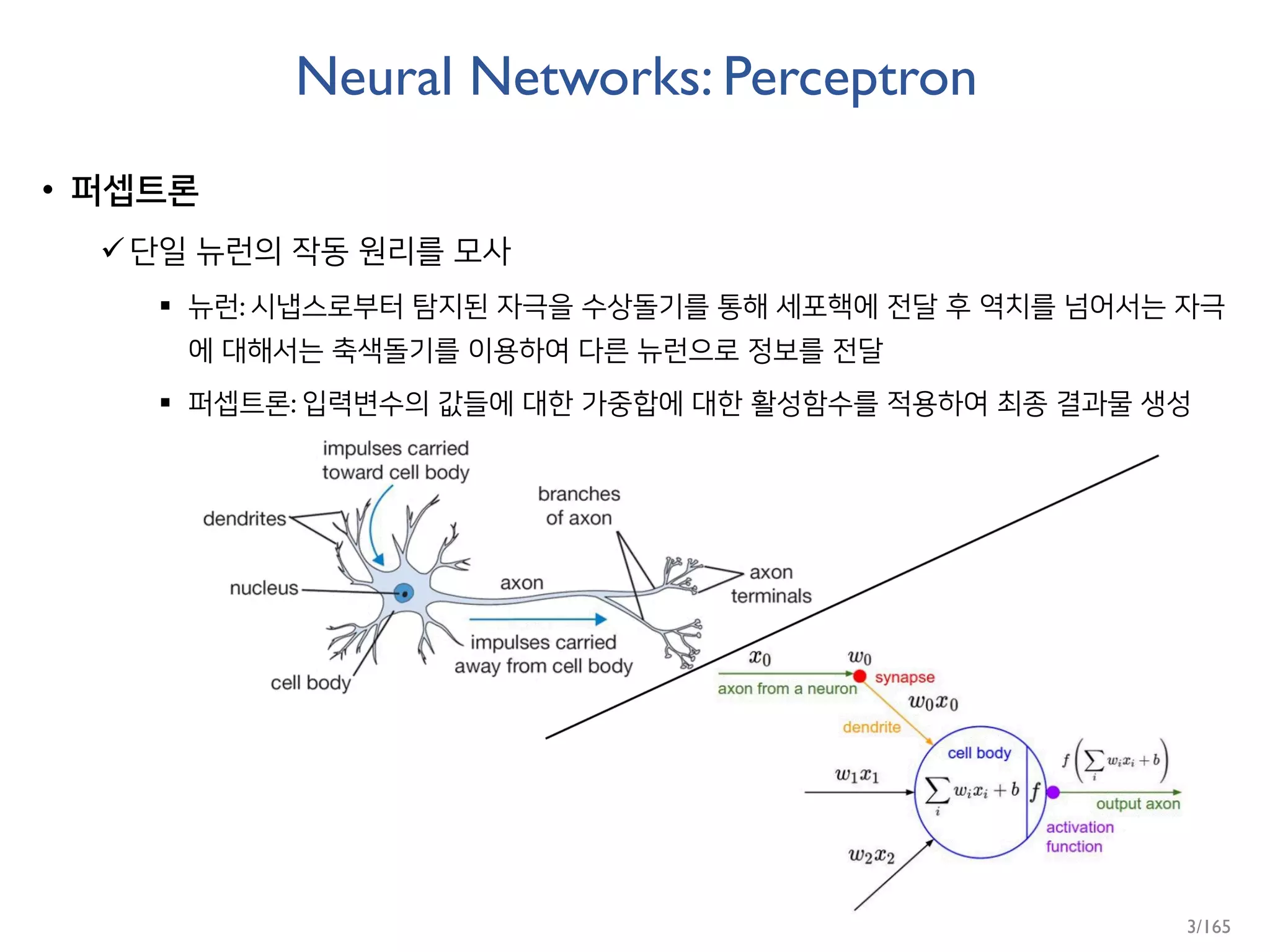 Neural Networks: Perceptron
• 퍼셉트론
단일 뉴런의 작동 원리를 모사
 뉴런: 시냅스로부터 탐지된 자극을 수상돌기를 통해 세포핵에 전달 후 역치를 넘어서는 자극
에 대해서는 축색돌기를 이용하여 다른 뉴런으로 정보를 전달
 퍼셉트론: 입력변수의 값들에 대한 가중합에 대한 활성함수를 적용하여 최종 결과물 생성
3/165
 
