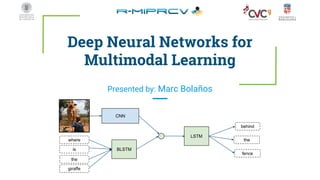 Deep Neural Networks for Multimodal Learning | PDF