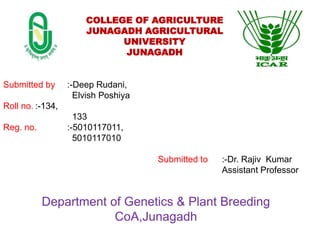 COLLEGE OF AGRICULTURE
JUNAGADH AGRICULTURAL
UNIVERSITY
JUNAGADH
Submitted to :-Dr. Rajiv Kumar
Assistant Professor
Submitted by :-Deep Rudani,
Elvish Poshiya
Roll no. :-134,
133
Reg. no. :-5010117011,
5010117010
Department of Genetics & Plant Breeding
CoA,Junagadh
 