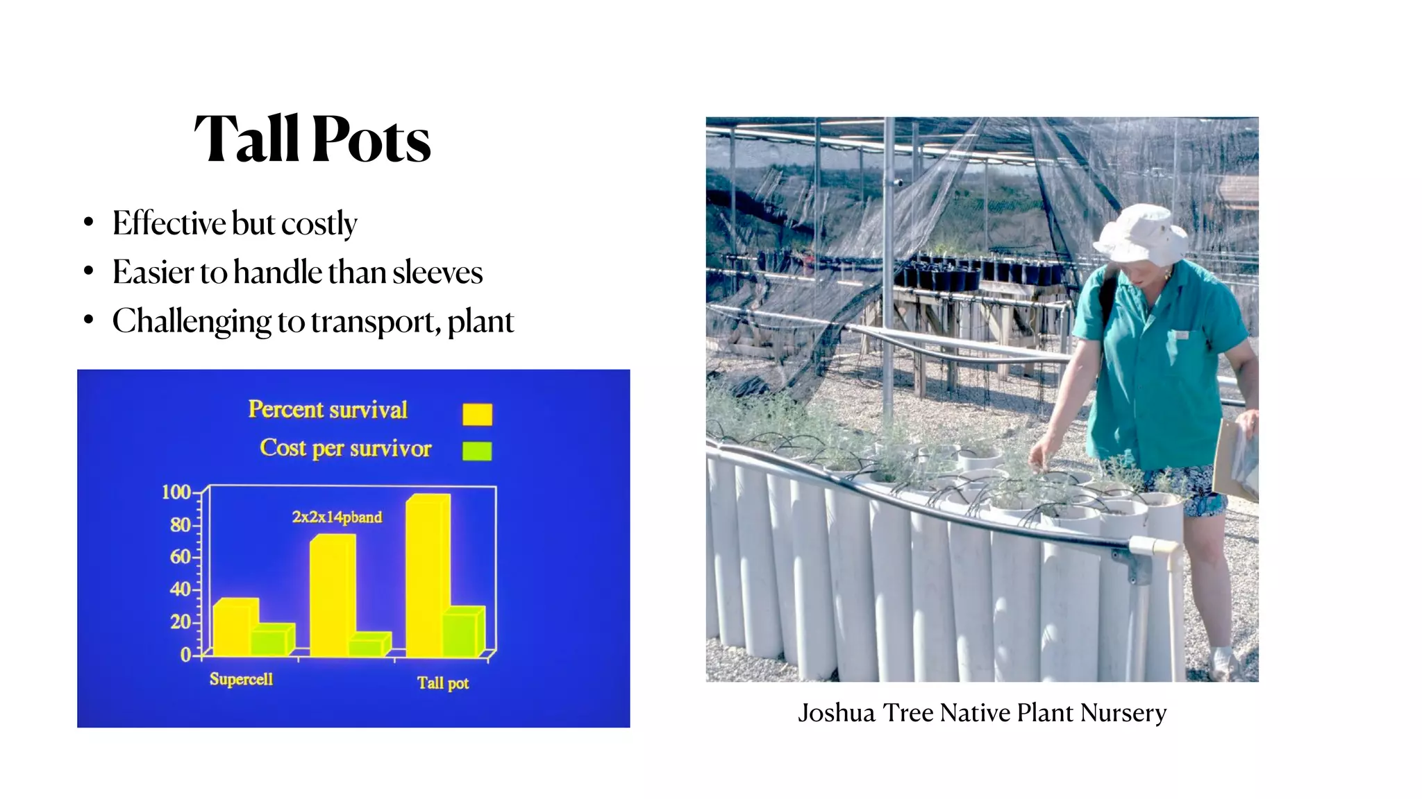 TallPots
• Effectivebutcostly
• Easiertohandlethan sleeves
• Challengingtotransport,plant
Joshua Tree Native Plant Nursery
 