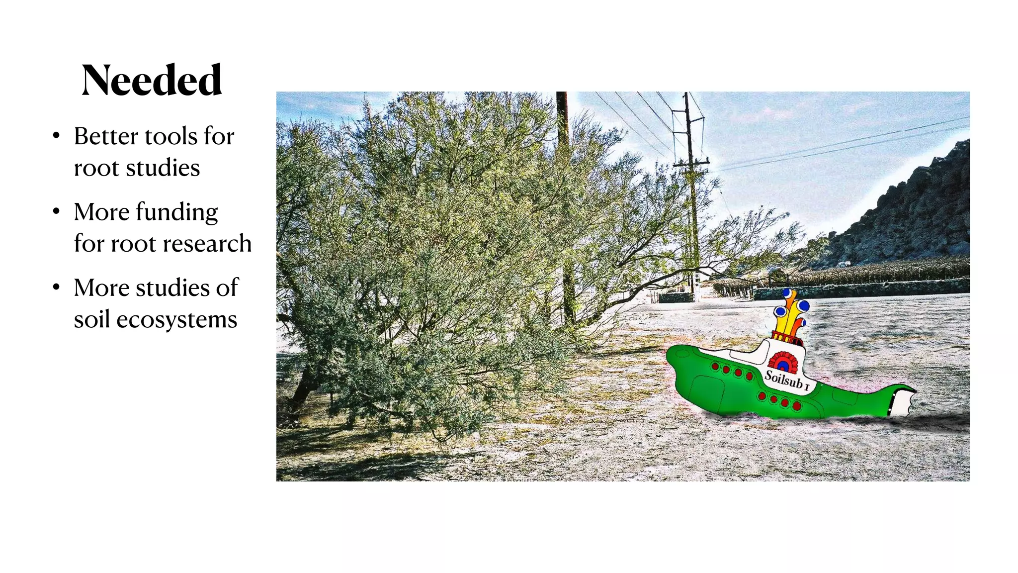 Needed
• Better tools for
root studies
• More funding
for root research
• More studies of
soil ecosystems
 