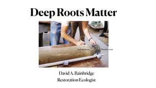 DavidA.Bainbridge
RestorationEcologist
DeepRootsMatter
Vadose Zone Phreatic zone
 