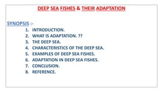 Deep Sea Plot DEEP SEA FISHES(Girja Pd.Patel).pptx