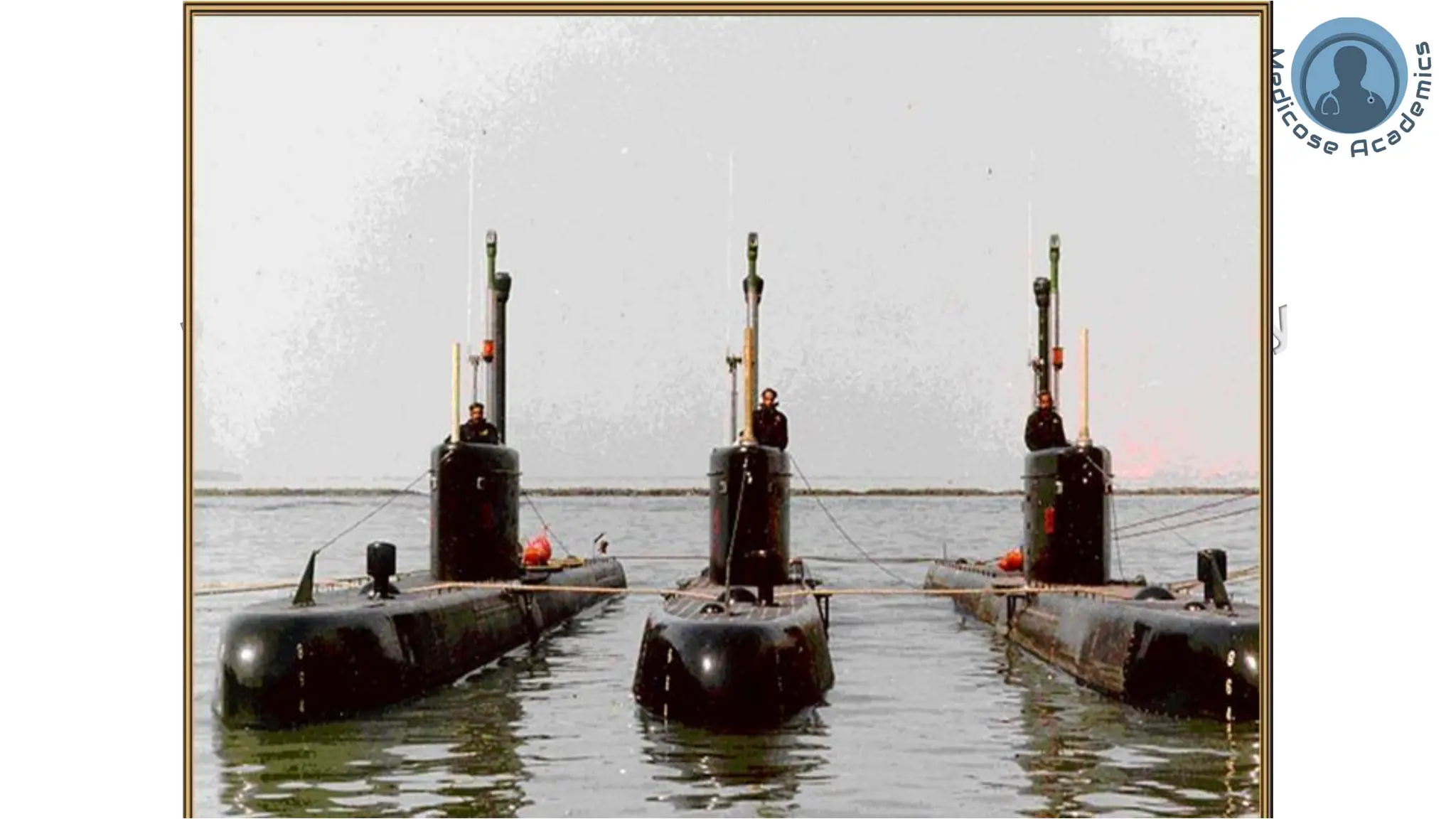 Deep Sea Physiology-Hyperbaric cponditions.pdf