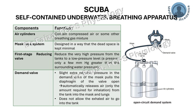 Deep Sea Physiology-Hyperbaric cponditions.pdf | Scuba Diving | Extreme ...