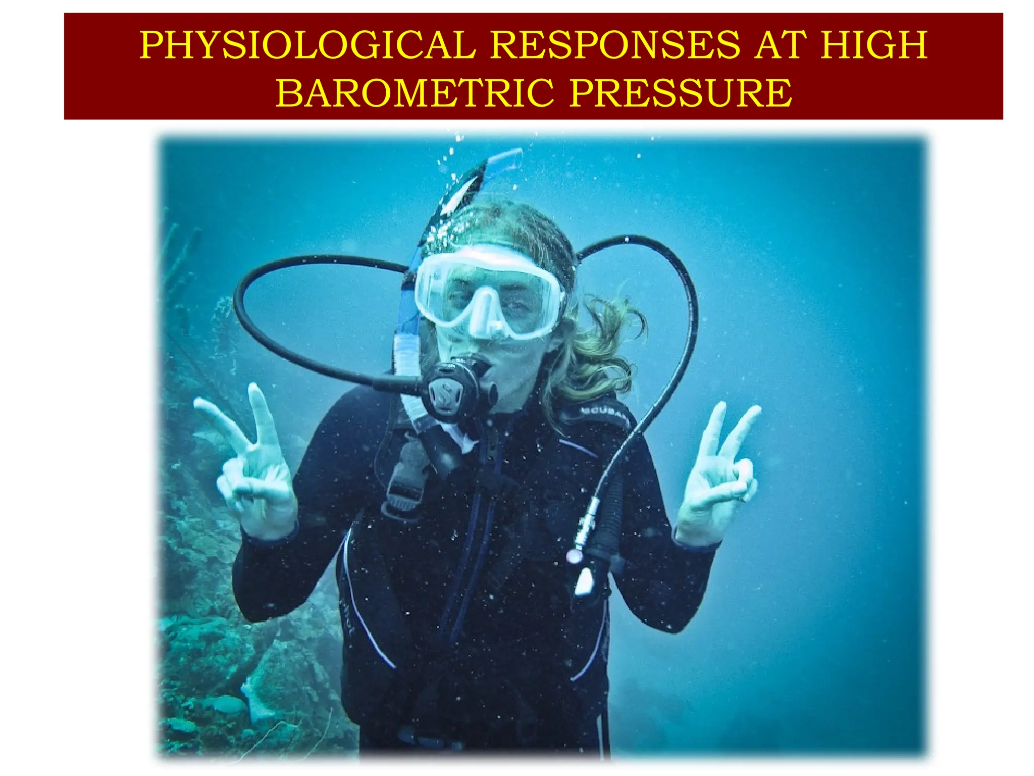 Deep sea diving Physiological responses ppt | PPTX
