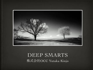DEEP SMARTS
株式会社OCC Yutaka Kinjo
 