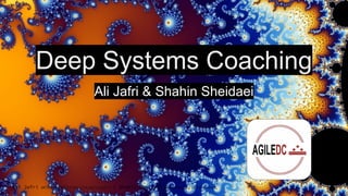 Ali Jafri @ElevatedAgility /in/alisjafri | Shahin Sheidaei @sheidaei /in/sheidaei
Deep Systems Coaching
Ali Jafri & Shahin Sheidaei
 